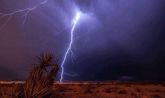 雷劈图片 来自搜狐网