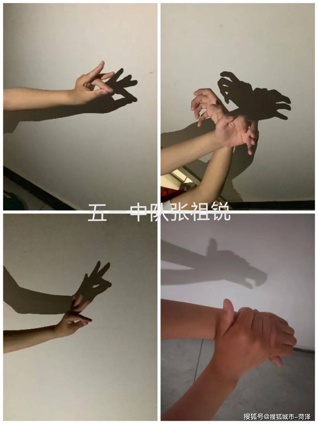 以劳育美——牡丹区第二小学五年级劳动教育实践活动