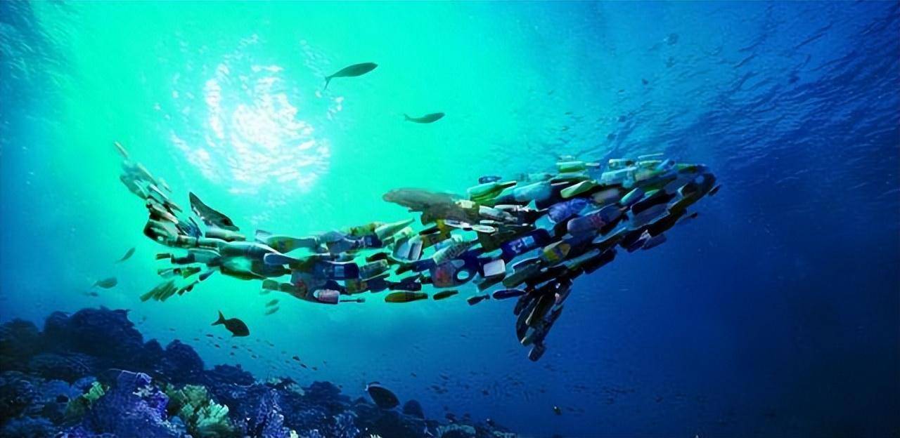 人类胎盘发现微塑料!每年800万吨塑料排入海洋,或被人体吸收?