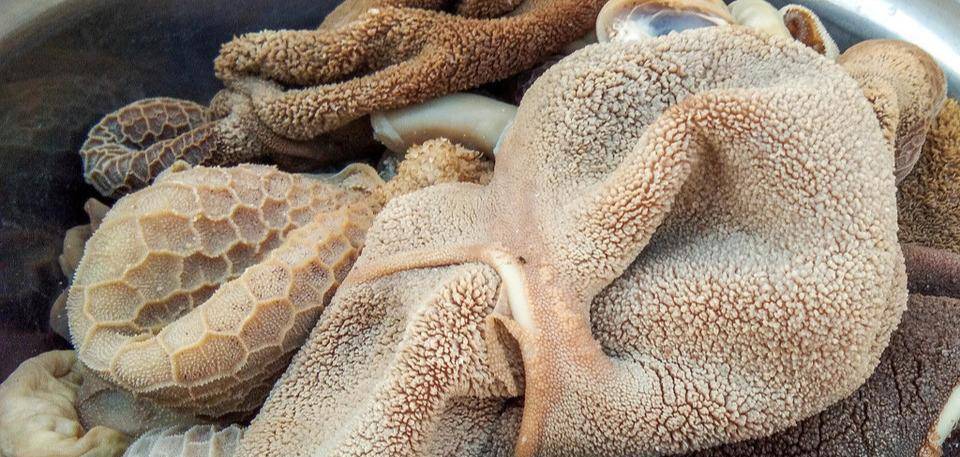 切配:鲶鱼去内脏,洗净切块,用盐40克,料酒,胡椒,腌制30分钟.