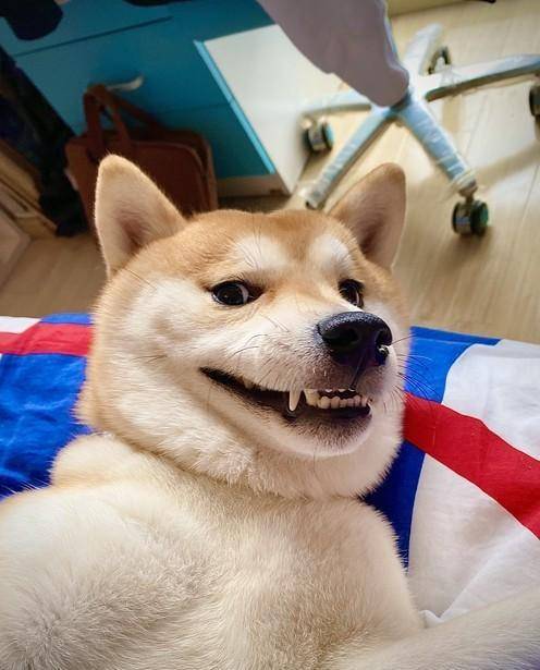 冯巩:大家好,我叫冯巩,冯就是二马冯,巩就是工凡巩,大家也可以叫我