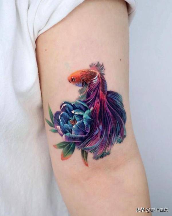 上海纹身店适合女生的小清新金鱼纹身图案_文化_勇气_中国