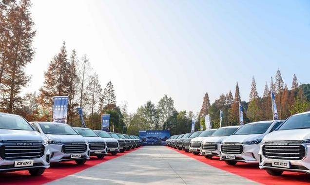 比如比亚迪的宋max,吉利嘉际,还有广汽传祺gm6,这些车型的定位都比较