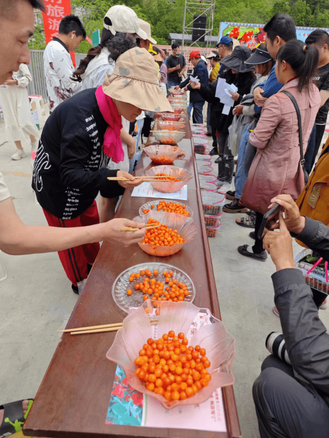甜了樱桃美了富了乡村 凉山州冕宁樱桃节开幕_旅游_冕宁县_游客