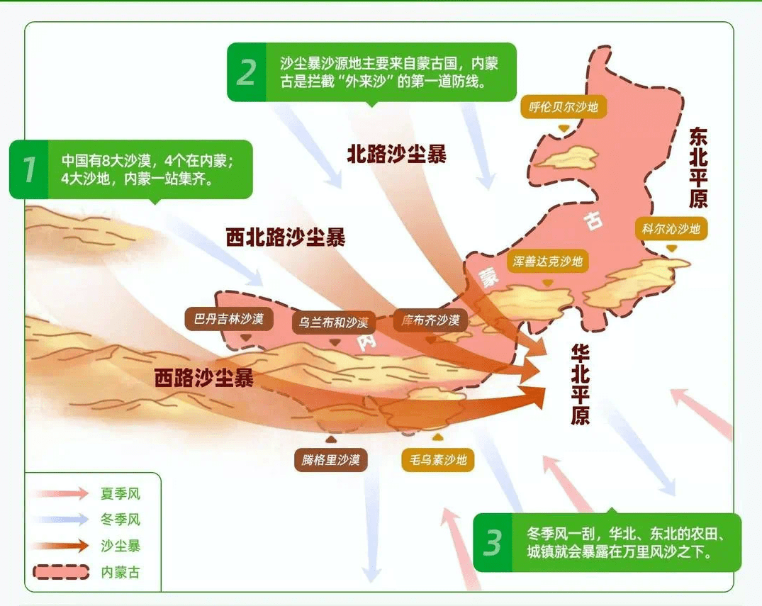 梭梭树（梭梭树肉苁蓉） 第2张