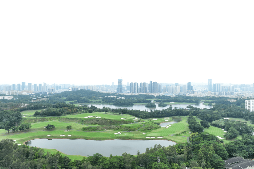 深圳中海阳光橡树园图片