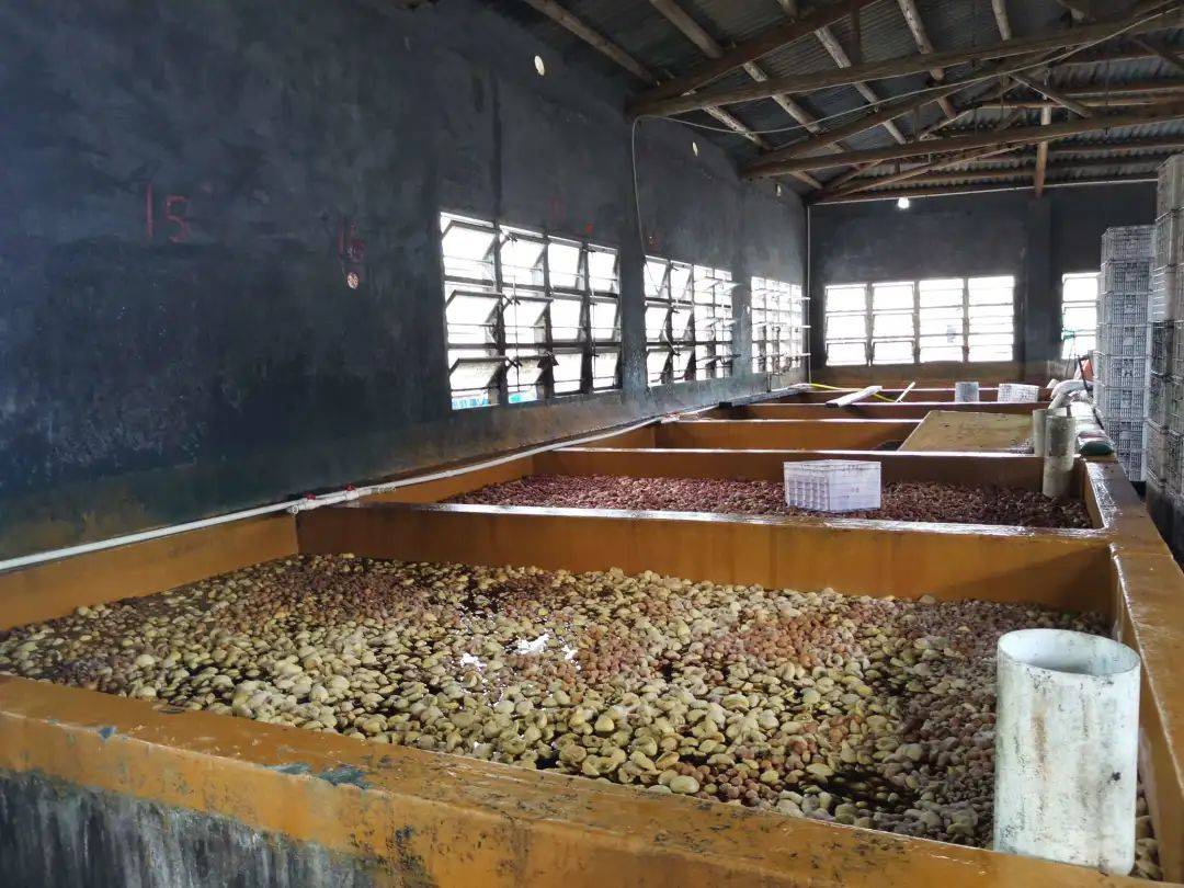 汕头市安全生产行政处罚案例(六)_凉果厂_应急_检测