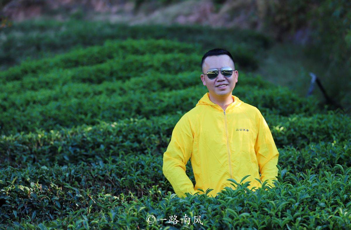 燕子窠:據當地人介紹,星村古鎮的人們早在元代就開始種植茶葉,明清