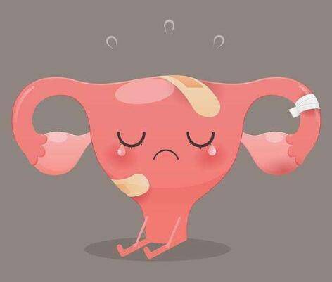 科普知识 什么是始基子宫_女性_月经