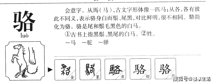 駱字詳解:駱字繁體字:駱駱字部首:馬駱字拼音:luò駱字筆畫:9駱字結構