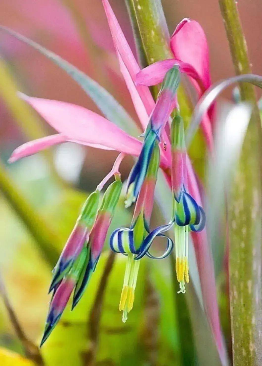 眷顾_什么_成功