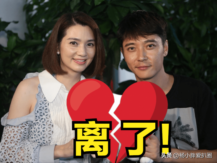 洪欣官宣离婚,张丹峰删评辱骂还要发律师函,网友:封杀_安迪_毕莹_评论