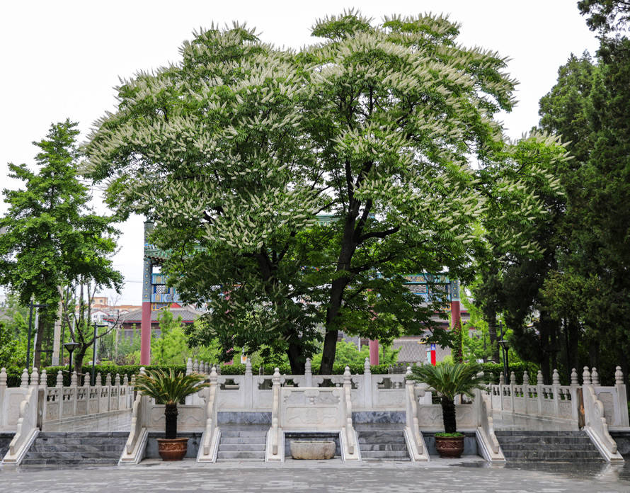 艺术花（艺术花篮插花图片大全） 第7张