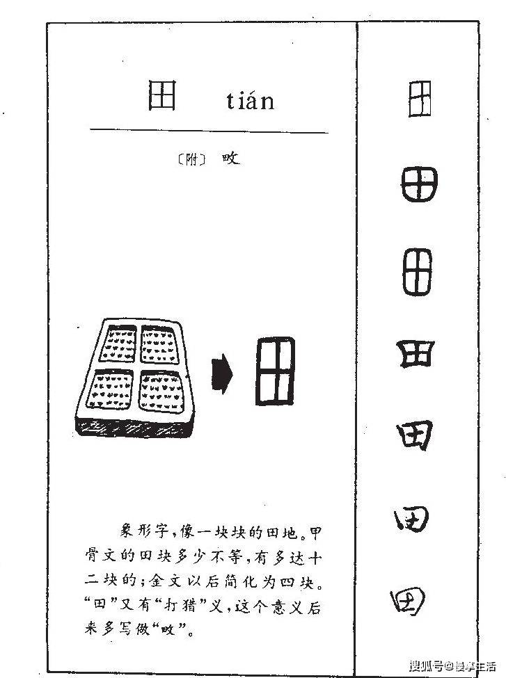 舍的部首图片