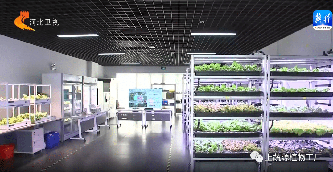 中科院雄安院光电农业实验室团队莅临【上蔬源】_技术_植物_发展
