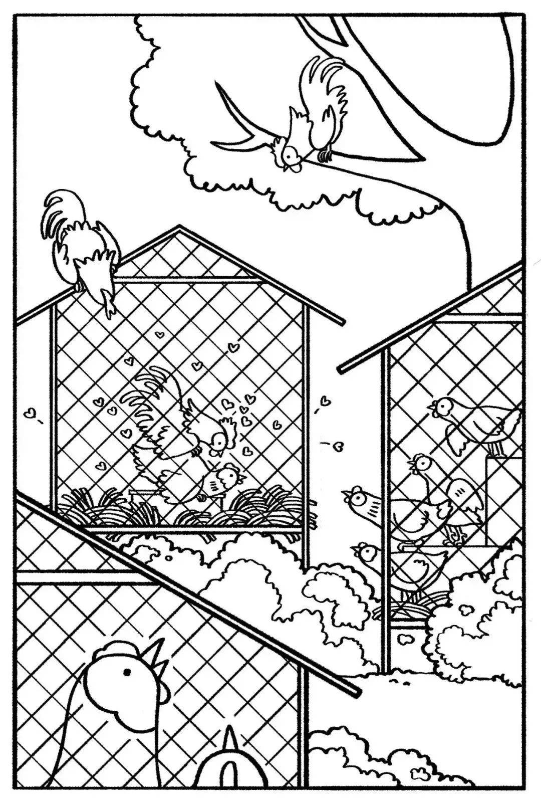 学术 渣鸡vs弱鸡 女博士在鸡窝研究鸡的性行为