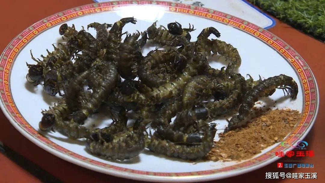 戛洒常见的"虫菜"凉拌蜂蛹,蚂蚁蛋煲汤,油炸蚂蚱除了水蜈蚣芒果园汤锅