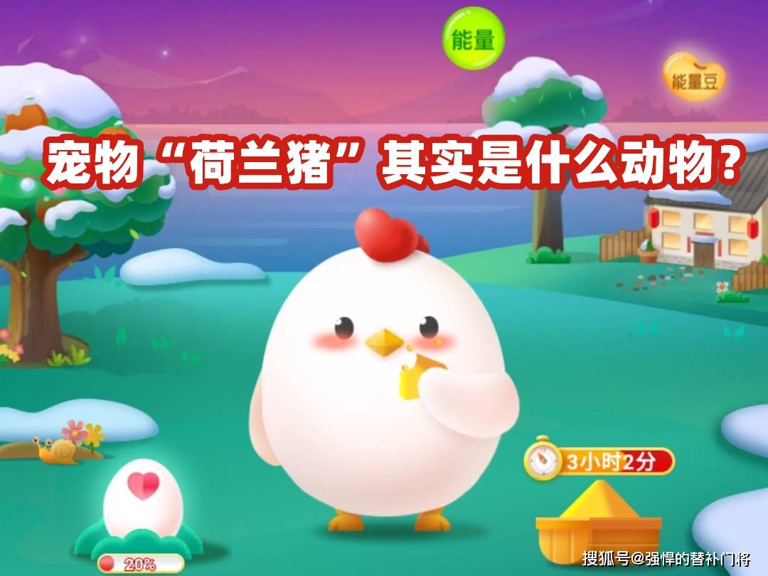 宠物“荷兰猪”其实是什么动物？是豚鼠还是小香猪？蚂蚁庄园今日答案