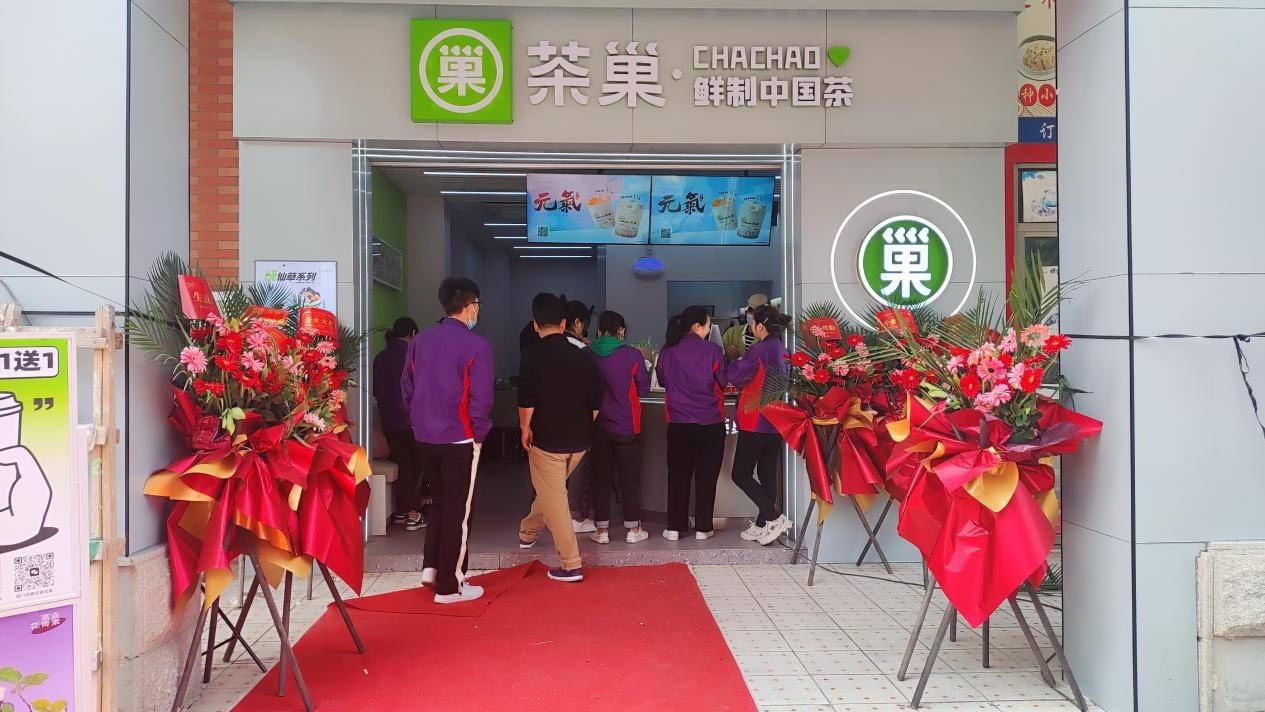 茶巢】招募区域合伙人丨招商政策升级,共享发展新机遇_门店_品牌_奶茶