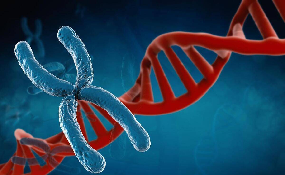 这4种"传男不传女"遗传病,夫妻双方若一人有,建议别生男娃_疾病_患者