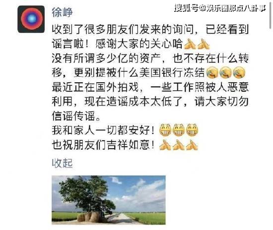 徐峥回应出国转移数亿财产（王宝强继承17亿5000万电影）