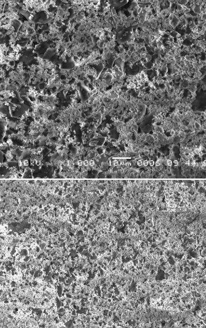 深度探析"藻之恋"与以往的"硅藻涂料"有什么不同_格瑞_施工_消费者