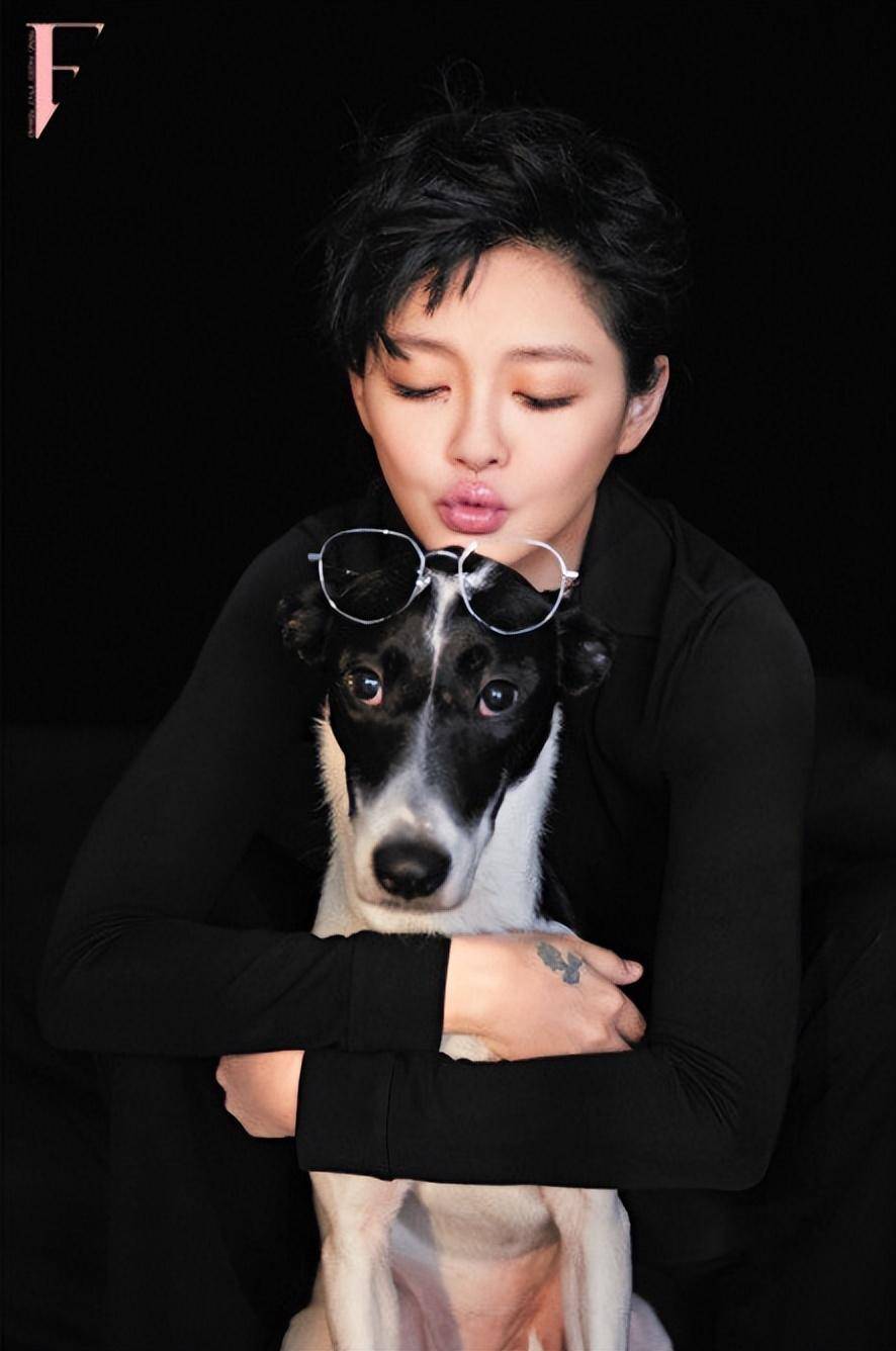 46岁大s短发写真照再上热搜:婚姻的鸡毛,从不缺席_汪小菲_经历_生活