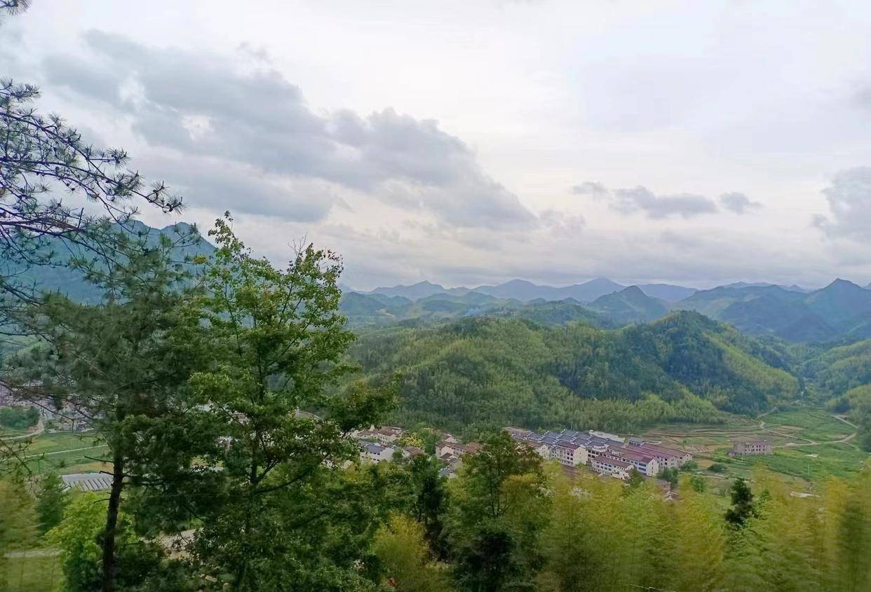 仙居县姚岸村,红色摇篮古树参天,姚元师故居遗址今