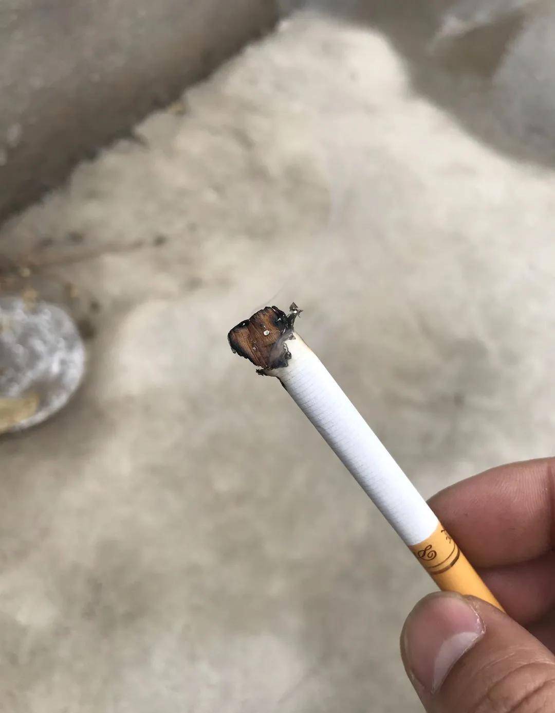 狗宝 牛宝 马宝你知道吧,这是烟宝唐僧问 悟空