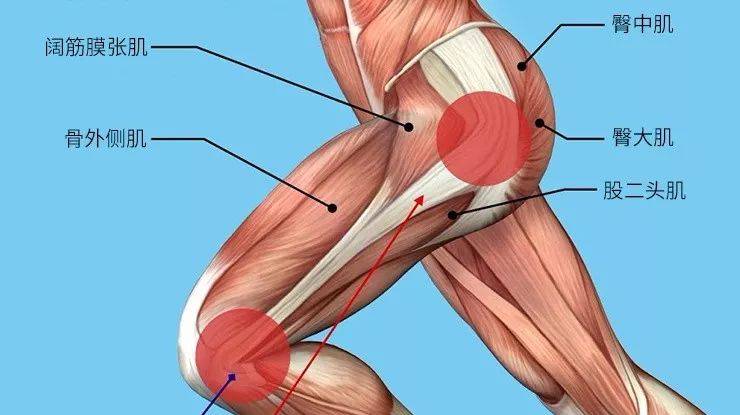 阔筋膜张肌:阔筋膜张肌综合征的症状的康复方法