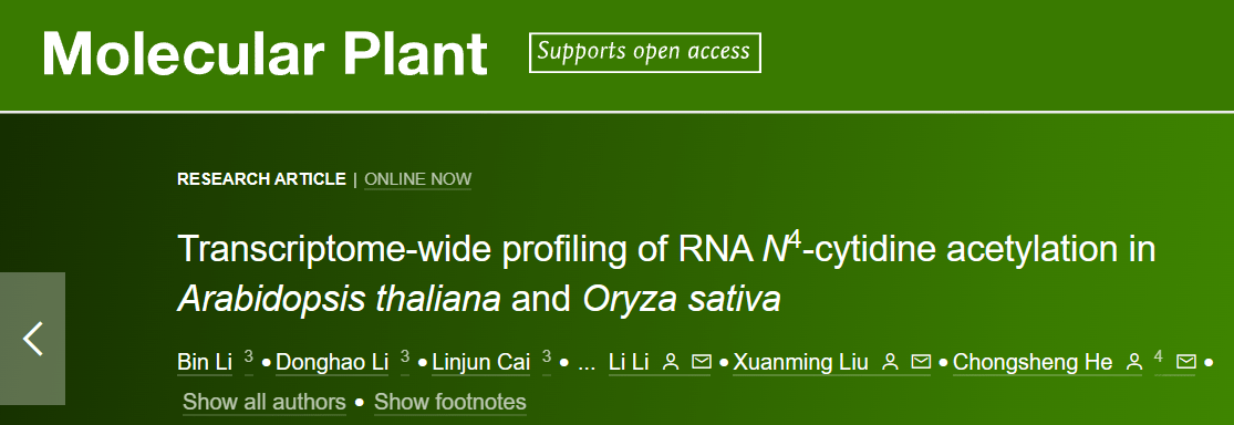 profiling of rna n4-cytidine acetylation in arabidopsis thaliana