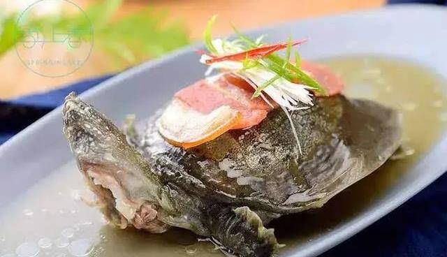 清蒸甲鱼滋补佳品_精盐_香菇_上汤