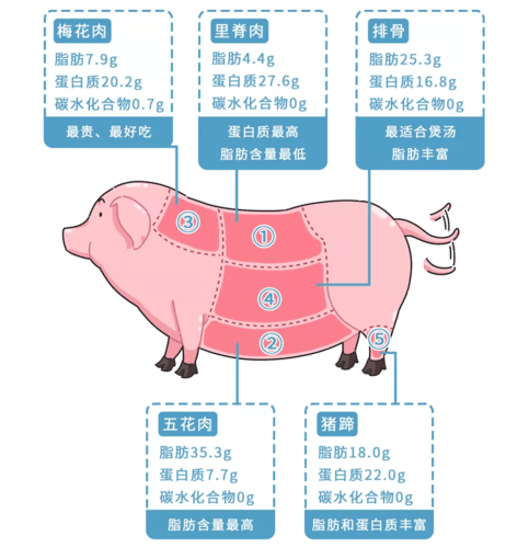 猪瘦肉营养成分表图片