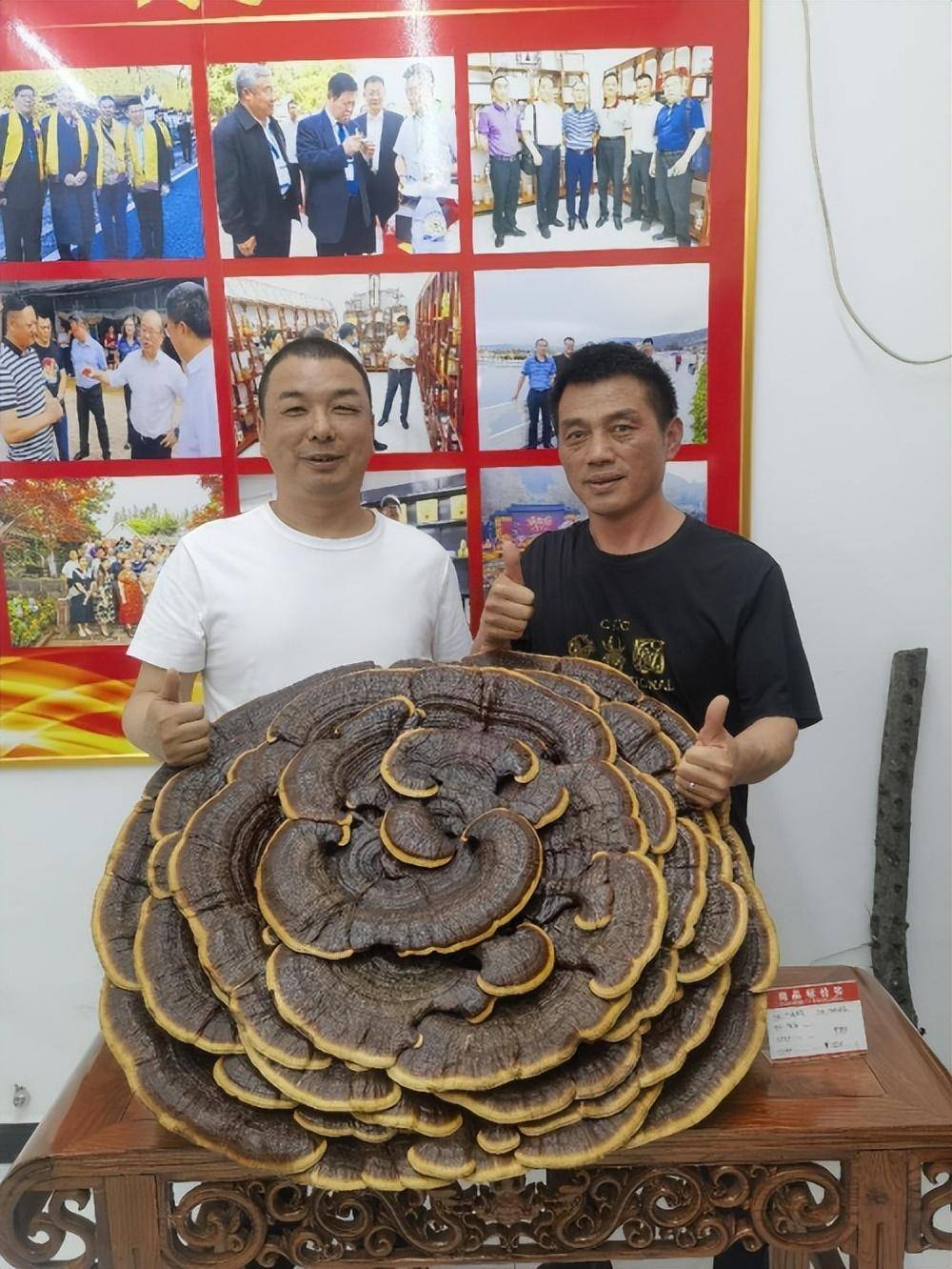 武汉城市圈商会赴华姑食用菌调研考察(图4)