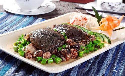 能够"感动"你舌尖,这些美食让人流口水,良心推荐_沙鳖_菜肴_吃货