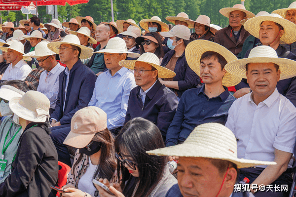 天长这里人人从从众众众_永丰_活动_文化