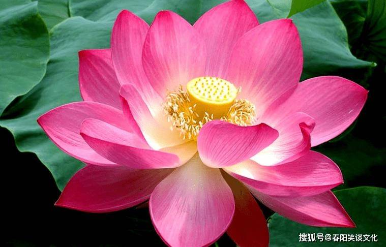 但是如果提升自己的工作效率和能力,在福祉的加持下,在2023年下半年