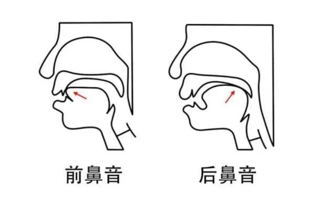 软腭示意图图片