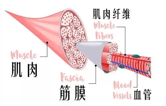 筋膜枪有效果吗？避雷三大风险弊端！