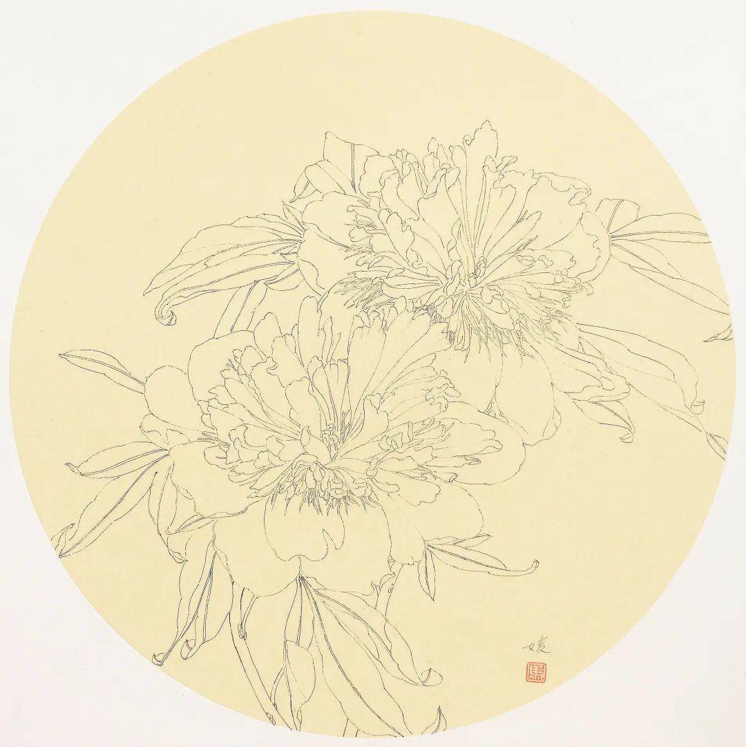 马媛媛|白描写生 系列欣赏_cmx_艺术_纸本