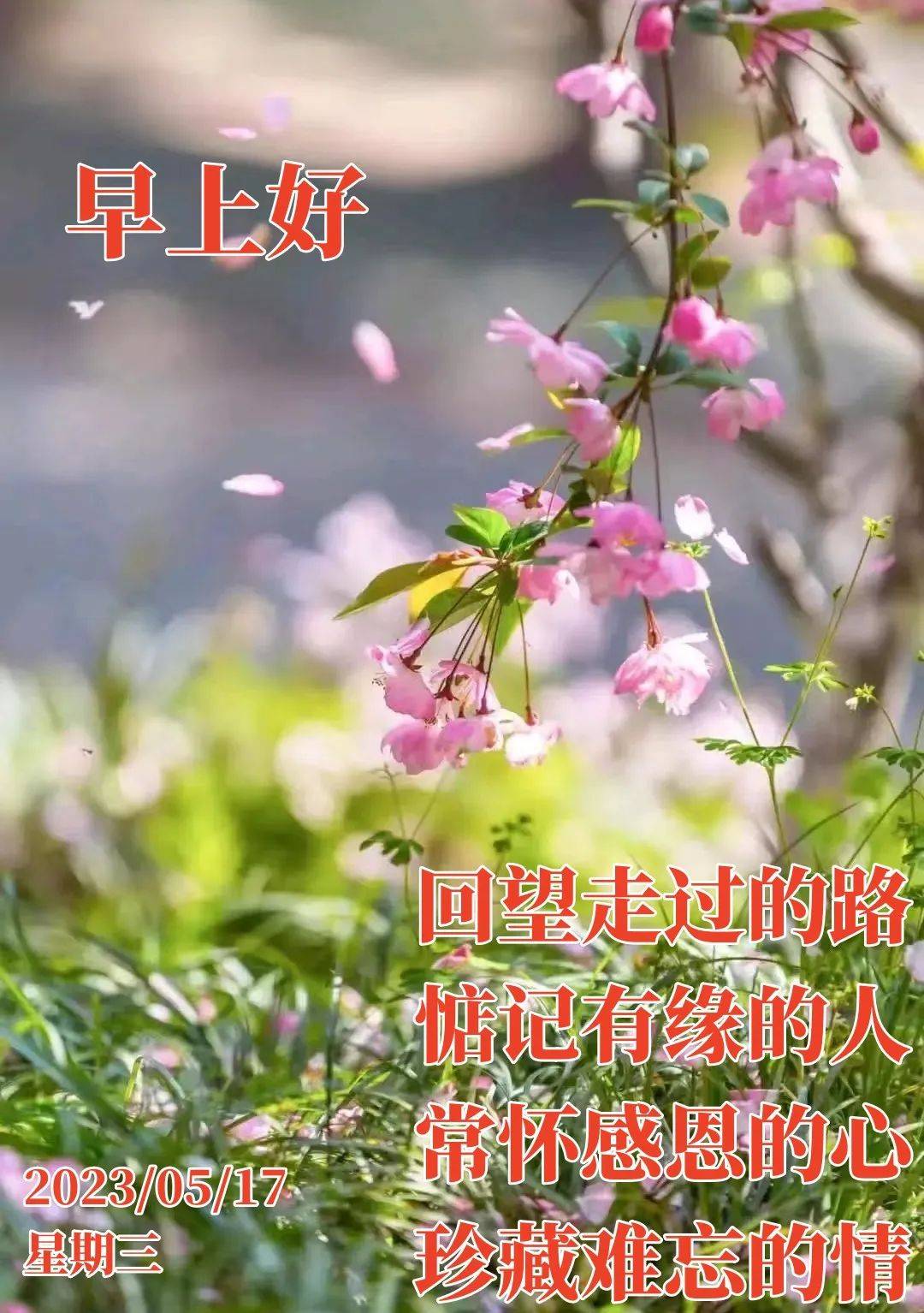 2023年5月17日周三早上好问候祝福动态表情图片 周三最新早安问候祝福