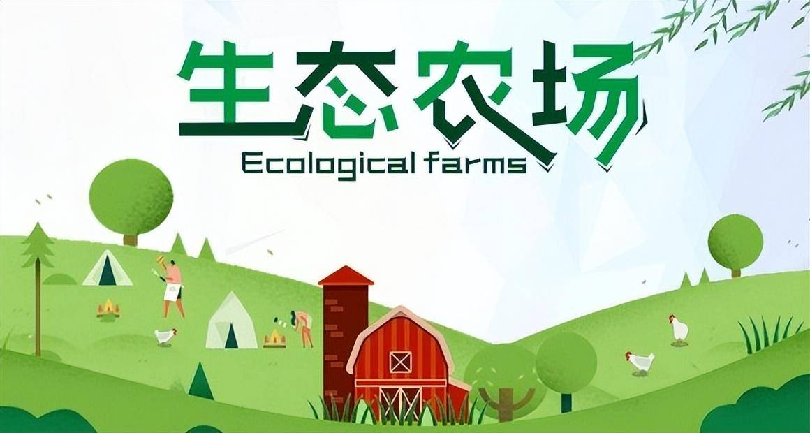 数字化推动产业升级,土鸡认养,线上云养殖助力乡村振兴_家禽_直播