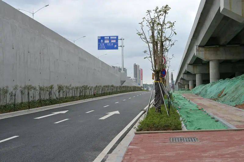 长逸路_道路_工程