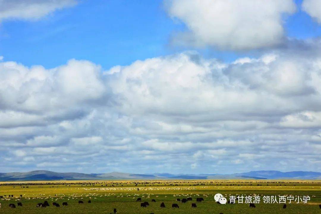 甘南自由行攻略,0隐形,0购物独家小众线路【4~8日】起始西宁/兰州!_郎
