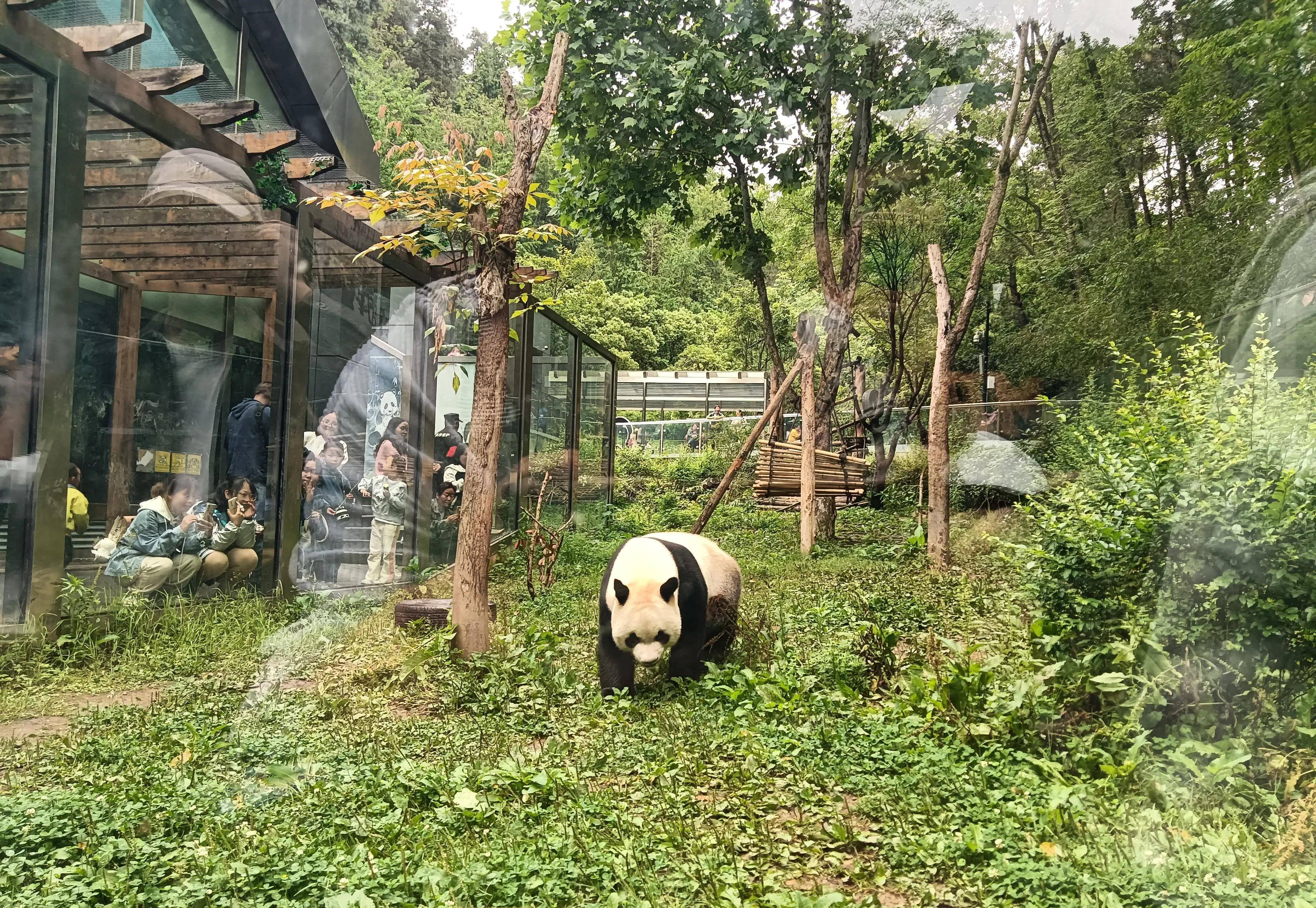 贵阳黔灵山动物园图片