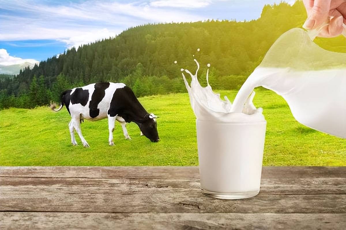 糖尿病能喝哪几种牛奶 糖尿病患者喝牛奶需要注意什么