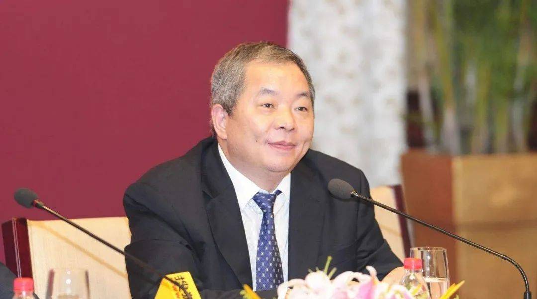 蓝城集团董事长宋卫平"比城市更温暖,比乡村更文明"的蓝城小镇,是