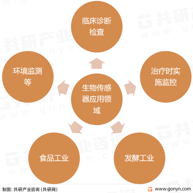 生物传感器应用领域生物传感器的研究在我国起步较晚,目前主要用于