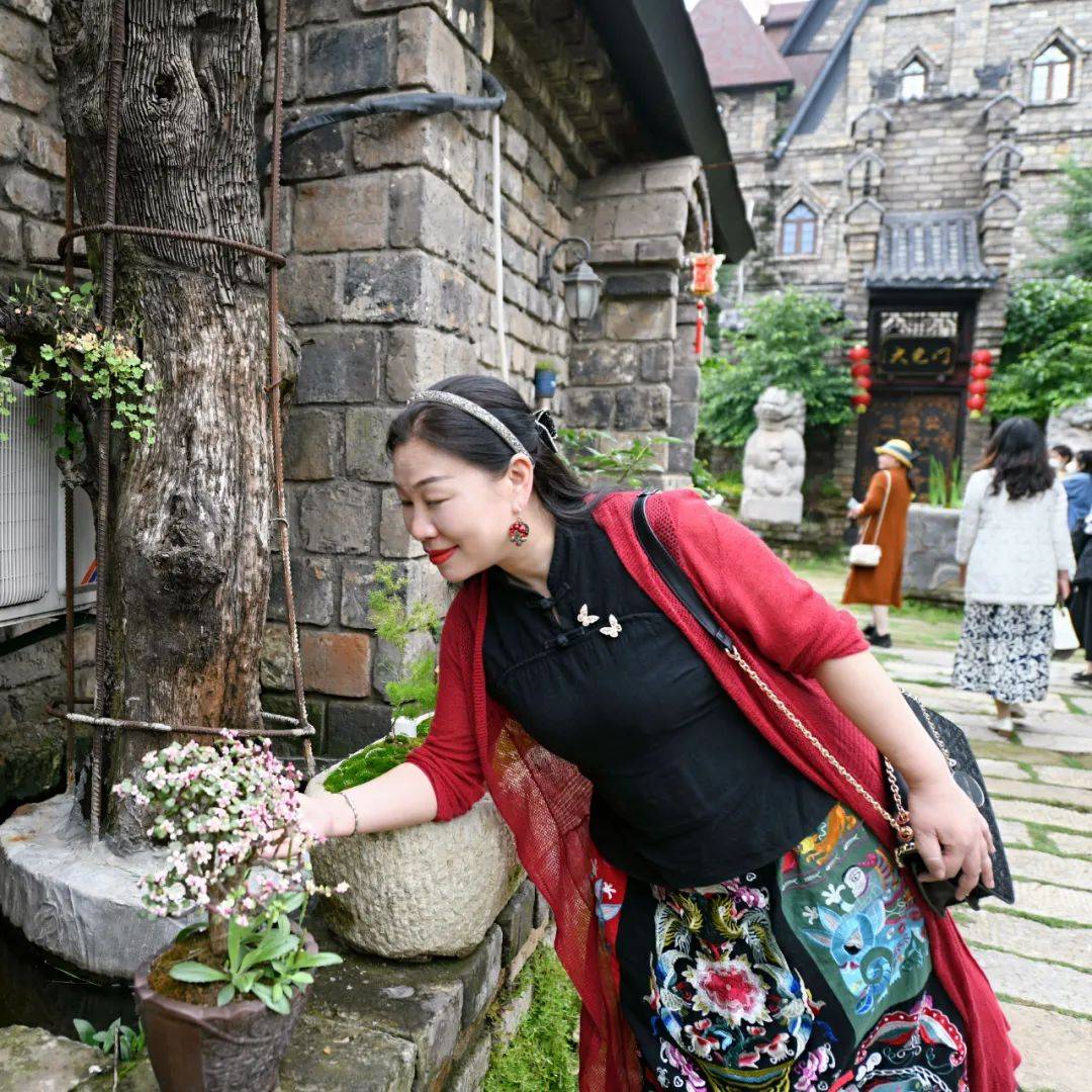 【头条诗人】秦凤田园诗词选粹_农家_山乡_燕子