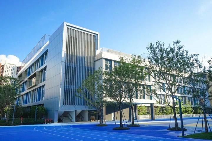 深圳交流国际学校_深圳国际交通学校_深圳深国交国际学校